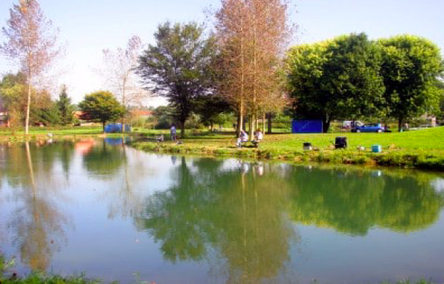Camping à vendre Hauts de France